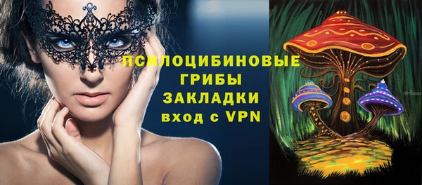 мяу мяу мука Абаза