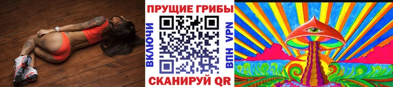 МЕГА зеркало  купить   Чегем  Псилоцибиновые грибы Psilocybine cubensis 