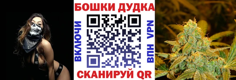 Бошки Шишки семена  Чегем 